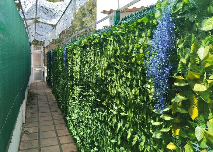 Playa-Pinares-Felicidad PLANTA BAJA