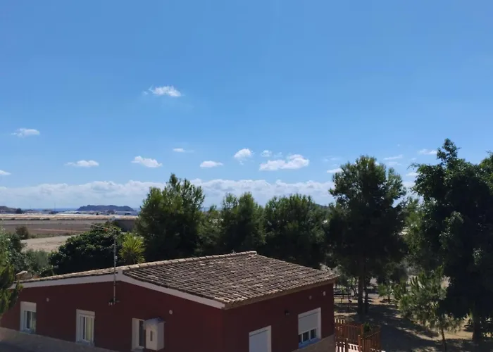 Venta Pura