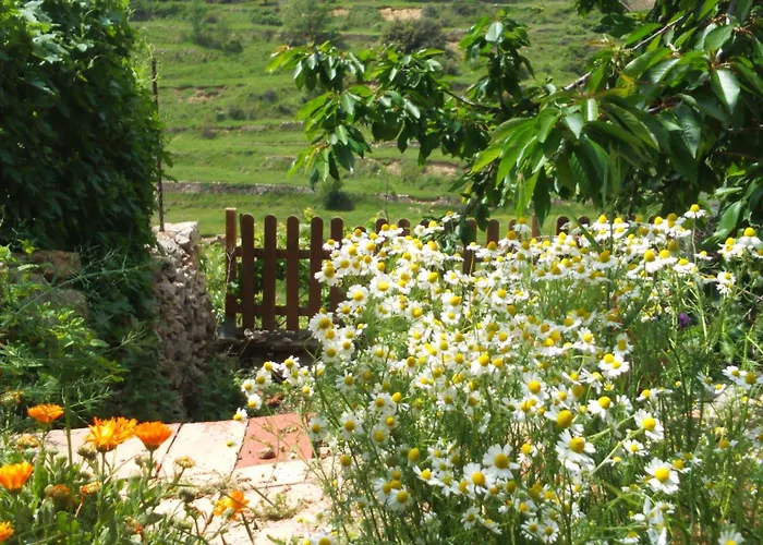 Casa Rural Las Dalias con Hidromasaje