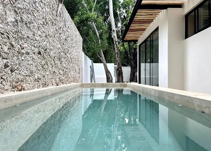 Casa Alamo