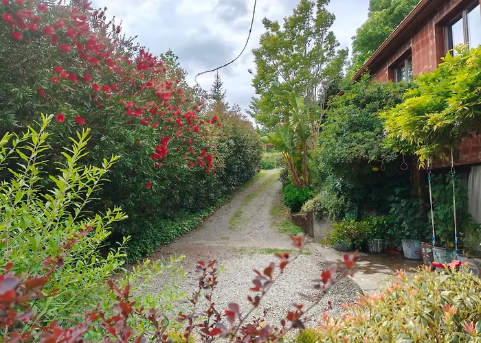 Apartamentos Rosa Jove
