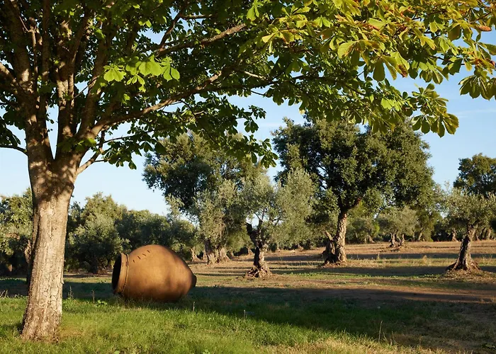 Finca El Azahar