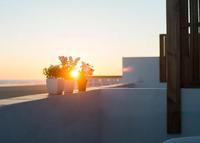 Apartamentos Calypso